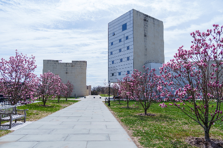 Patchwork Lost – A Critique of the Princeton University Art Museum’s American Art Wing