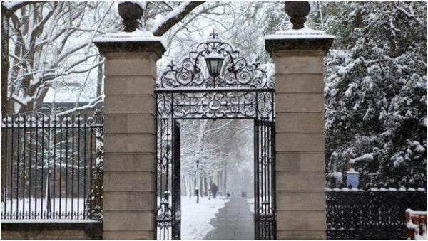 December 2025 Newsletter