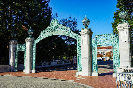 Berkeley Refuses to Act as Pro-Palestinian Protesters Disrupt Campus Event